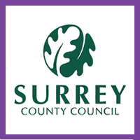 Lola Shepelev - Listen Up Surrey! - Recycling Ad 2017