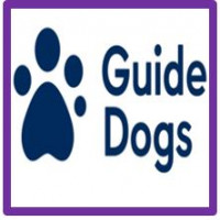 Rocco Padden for Guide Dogs - March 2023